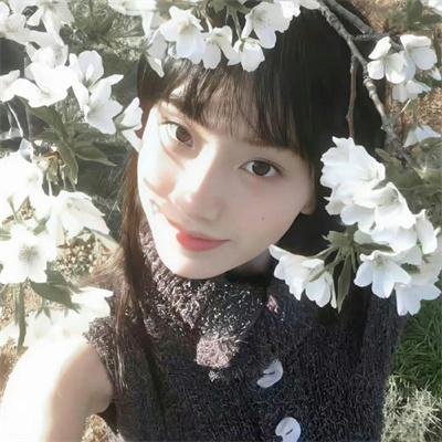 傲骨贤妻第五季
